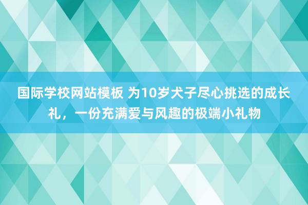 国际学校网站模板 为10岁犬子尽心挑选的成长礼，一份充满爱与风趣的极端小礼物