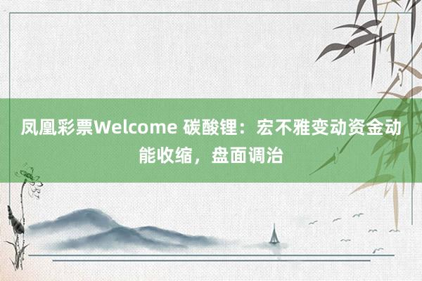 凤凰彩票Welcome 碳酸锂：宏不雅变动资金动能收缩，盘面调治