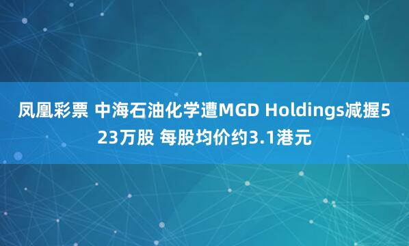 凤凰彩票 中海石油化学遭MGD Holdings减握523万股 每股均价约3.1港元