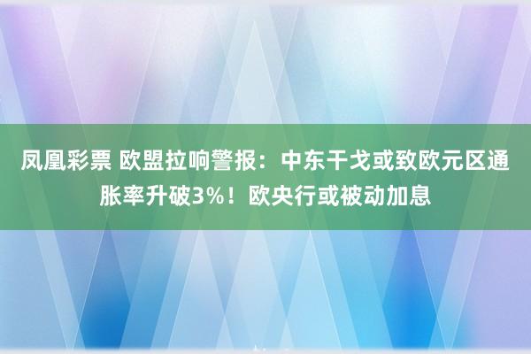 凤凰彩票 欧盟拉响警报：中东干戈或致欧元区通胀率升破3%！欧央行或被动加息