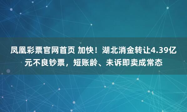 凤凰彩票官网首页 加快！湖北消金转让4.39亿元不良钞票，短账龄、未诉即卖成常态