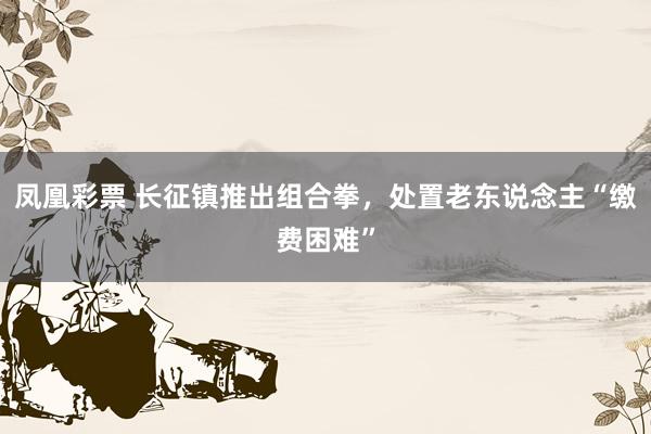 凤凰彩票 长征镇推出组合拳，处置老东说念主“缴费困难”