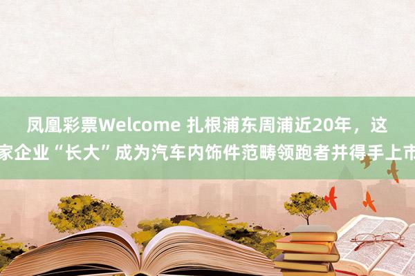 凤凰彩票Welcome 扎根浦东周浦近20年，这家企业“长大”成为汽车内饰件范畴领跑者并得手上市
