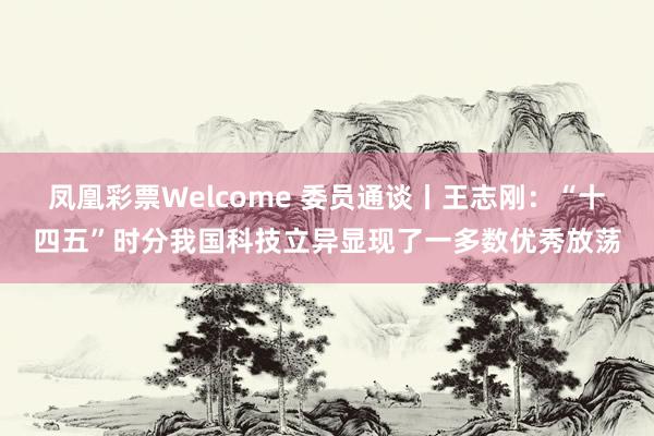 凤凰彩票Welcome 委员通谈丨王志刚：“十四五”时分我国科技立异显现了一多数优秀放荡