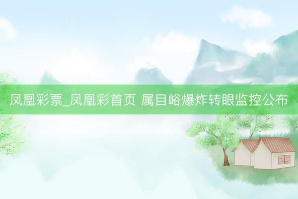 凤凰彩票_凤凰彩首页 属目峪爆炸转眼监控公布