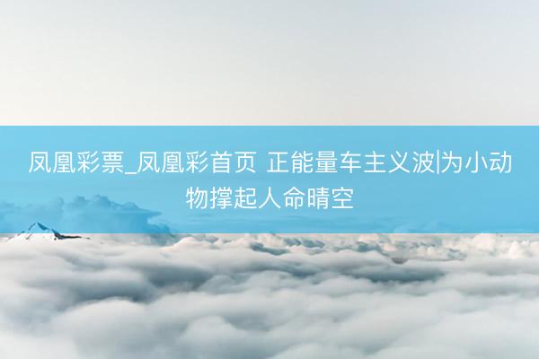 凤凰彩票_凤凰彩首页 正能量车主义波|为小动物撑起人命晴空