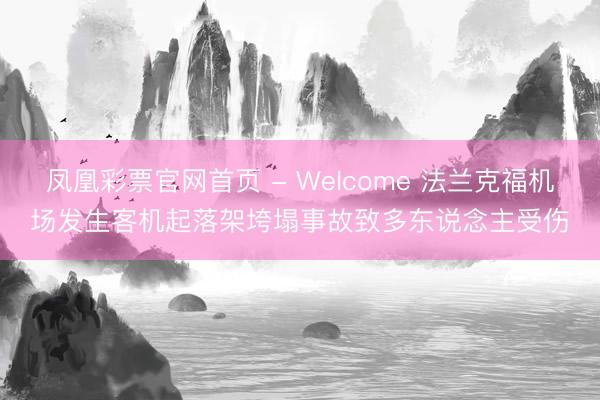 凤凰彩票官网首页 - Welcome 法兰克福机场发生客机起落架垮塌事故致多东说念主受伤