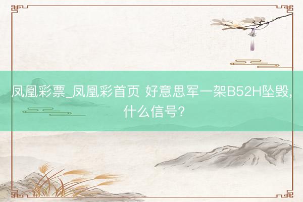 凤凰彩票_凤凰彩首页 好意思军一架B52H坠毁, 什么信号?